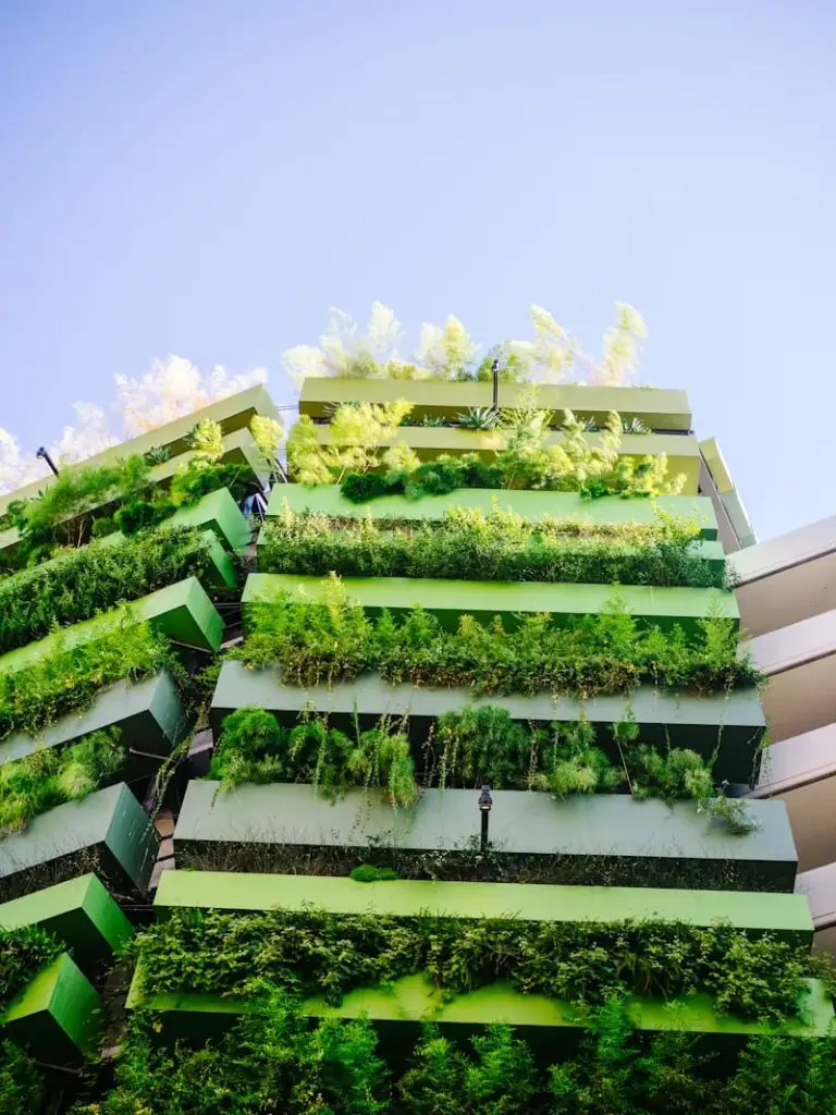 green and yellow plants on white concrete building
